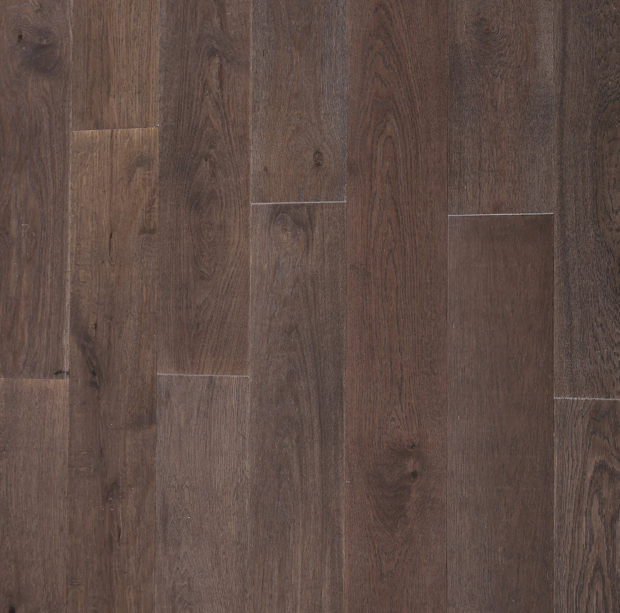 BYK European Oak - Black Forest