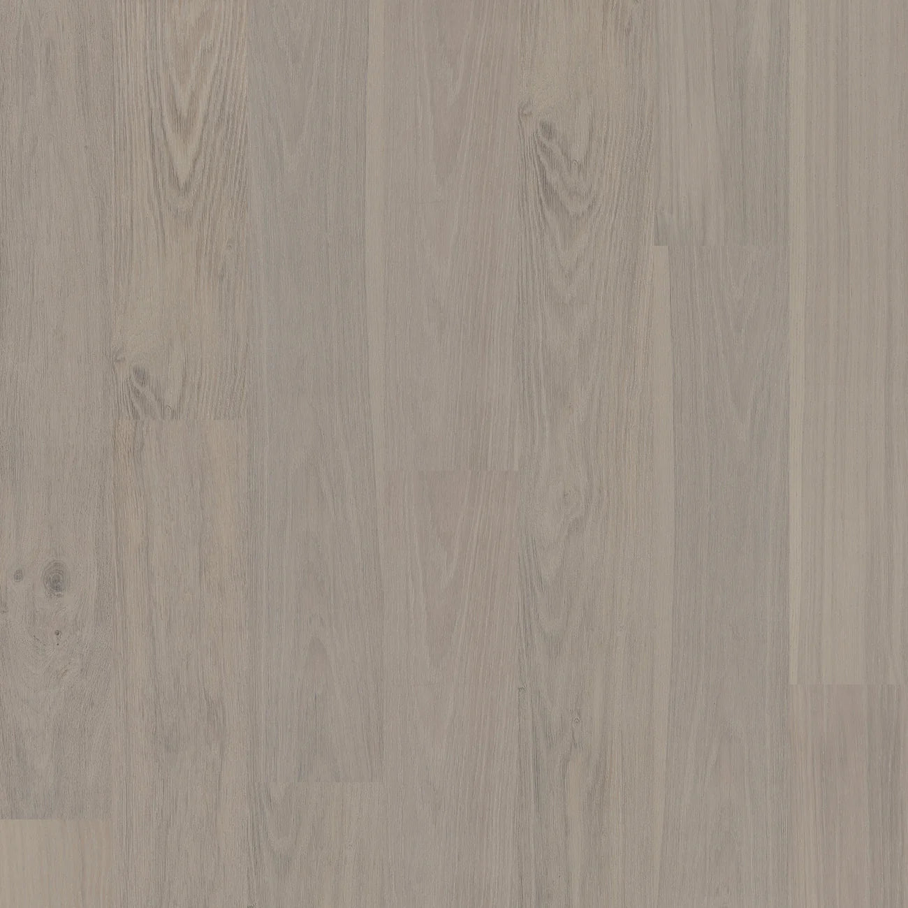 BYK European Oak - Cervino