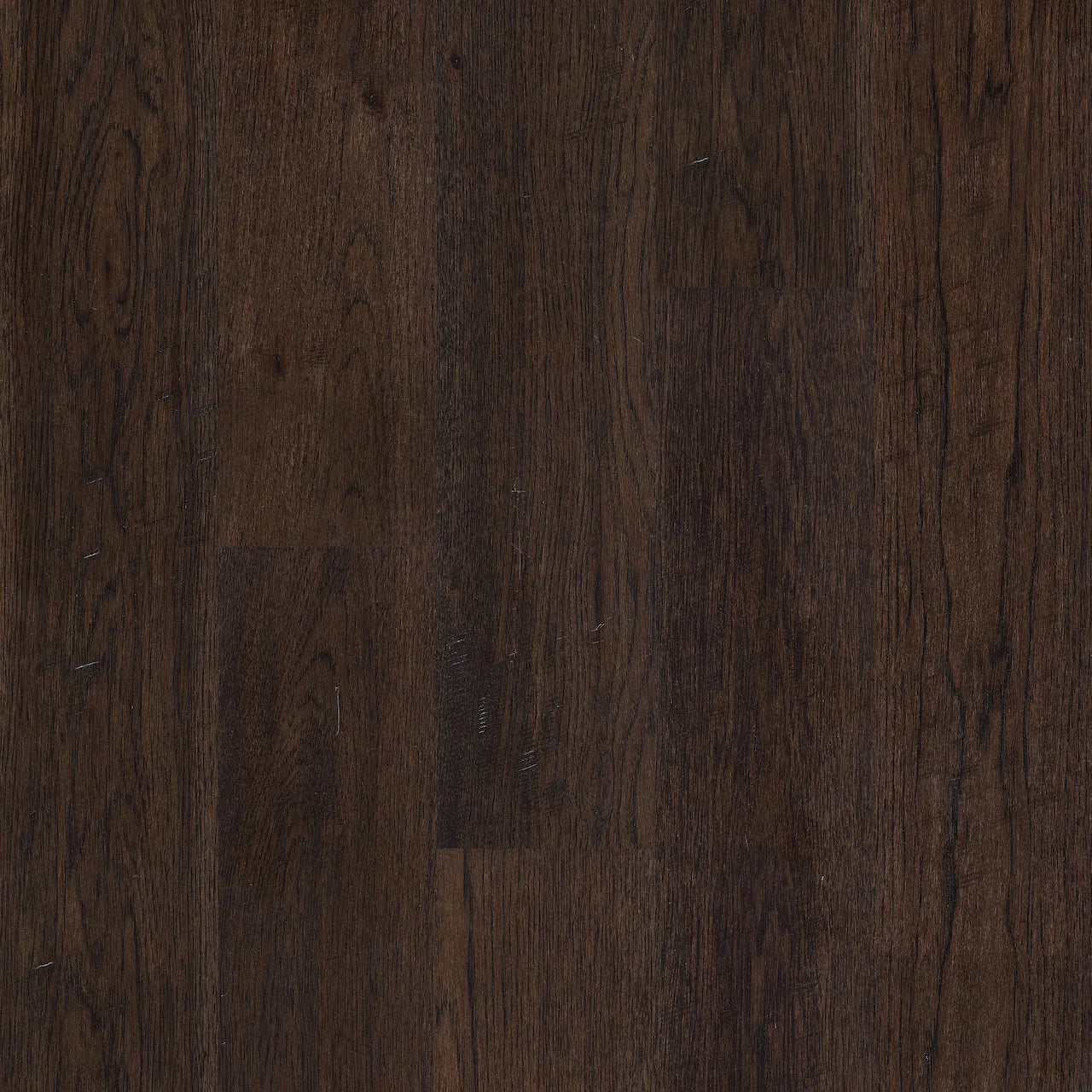 BYK Hickory - Coffee