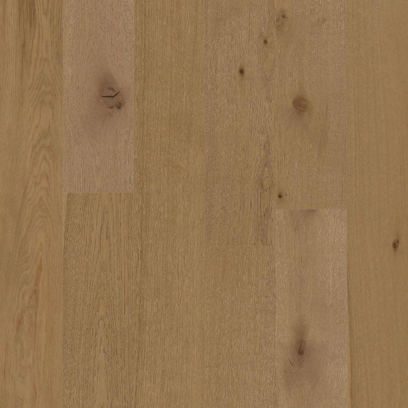 BYK European Oak - Desert Ark