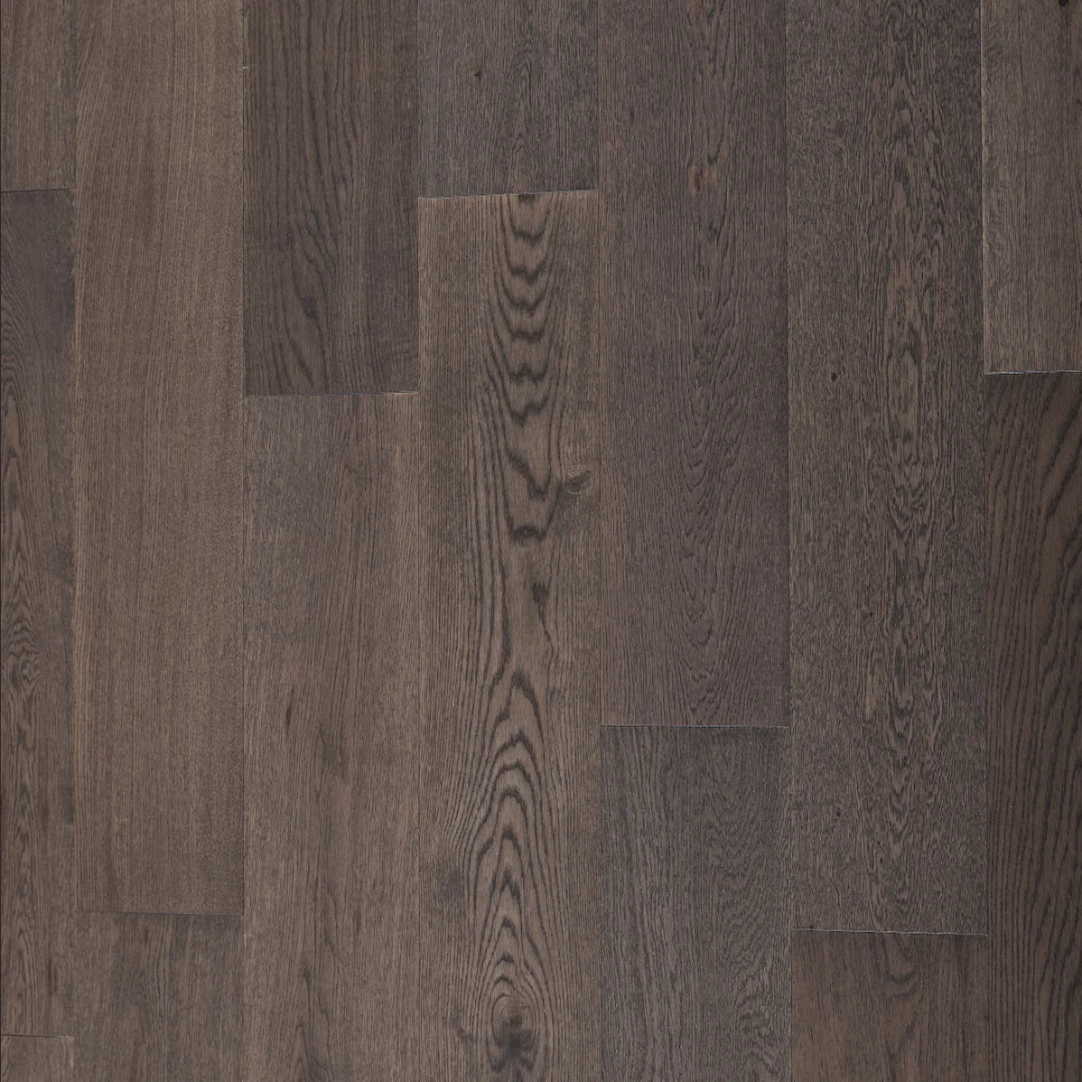 BYK European Oak - Gentle Glade