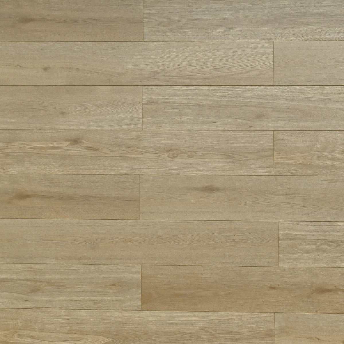 TOU Melrose 12mm water resistant Laminate