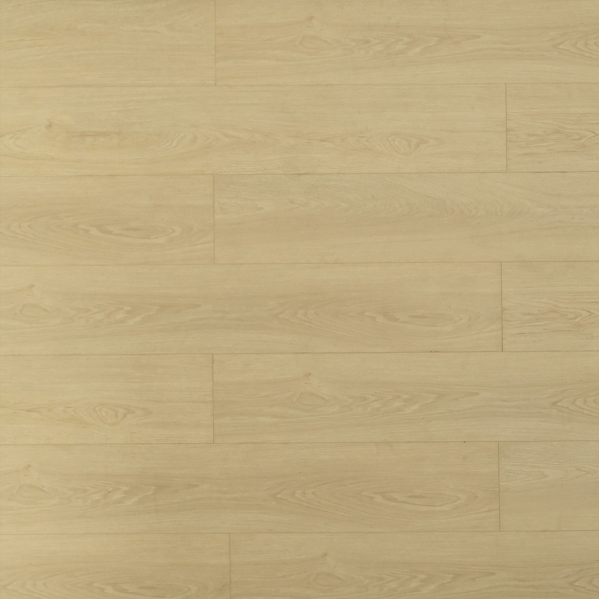 TOU Bandelier/ 8+2mm / water resistant Laminate