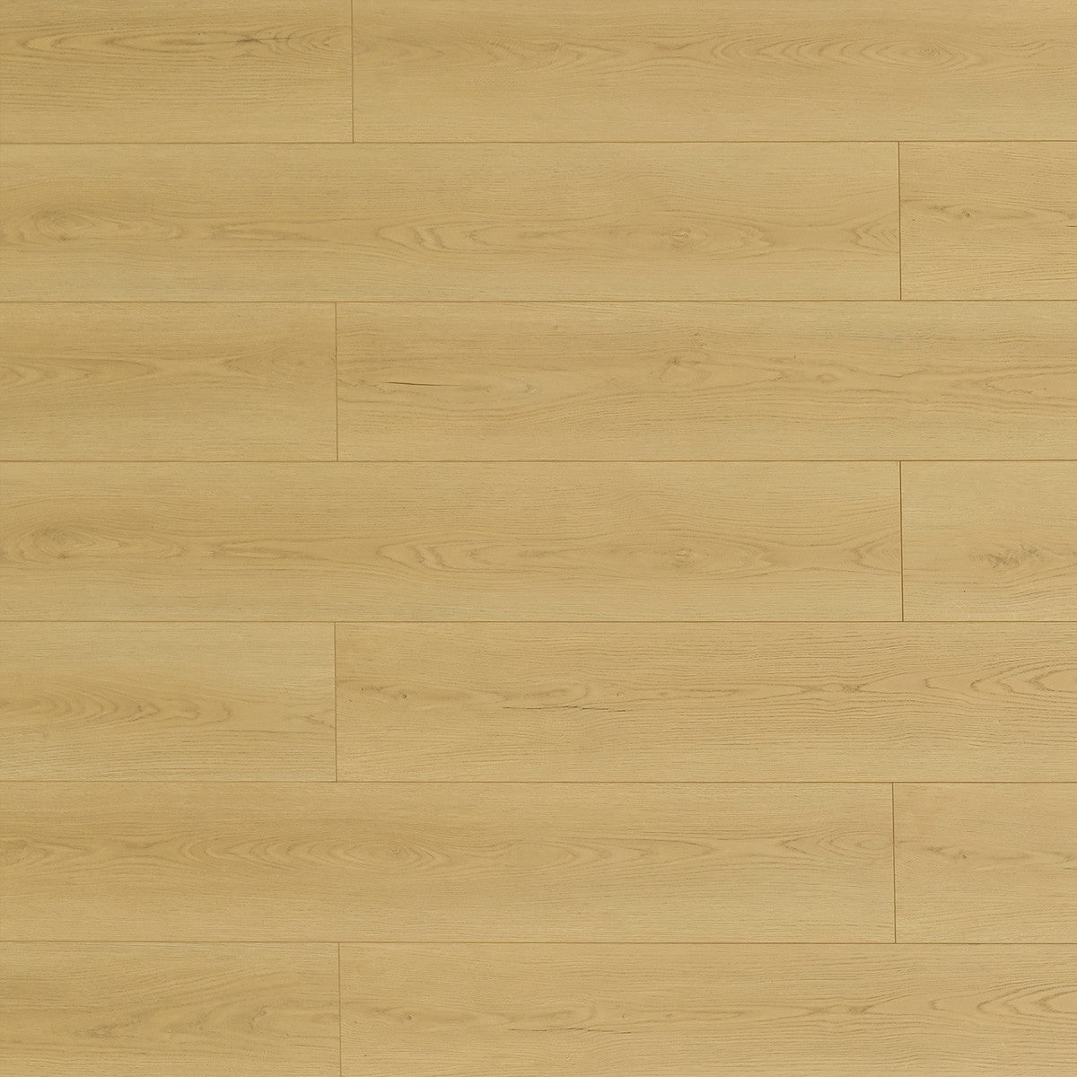 TOU Muscatine 8+2mm water resistant Laminate