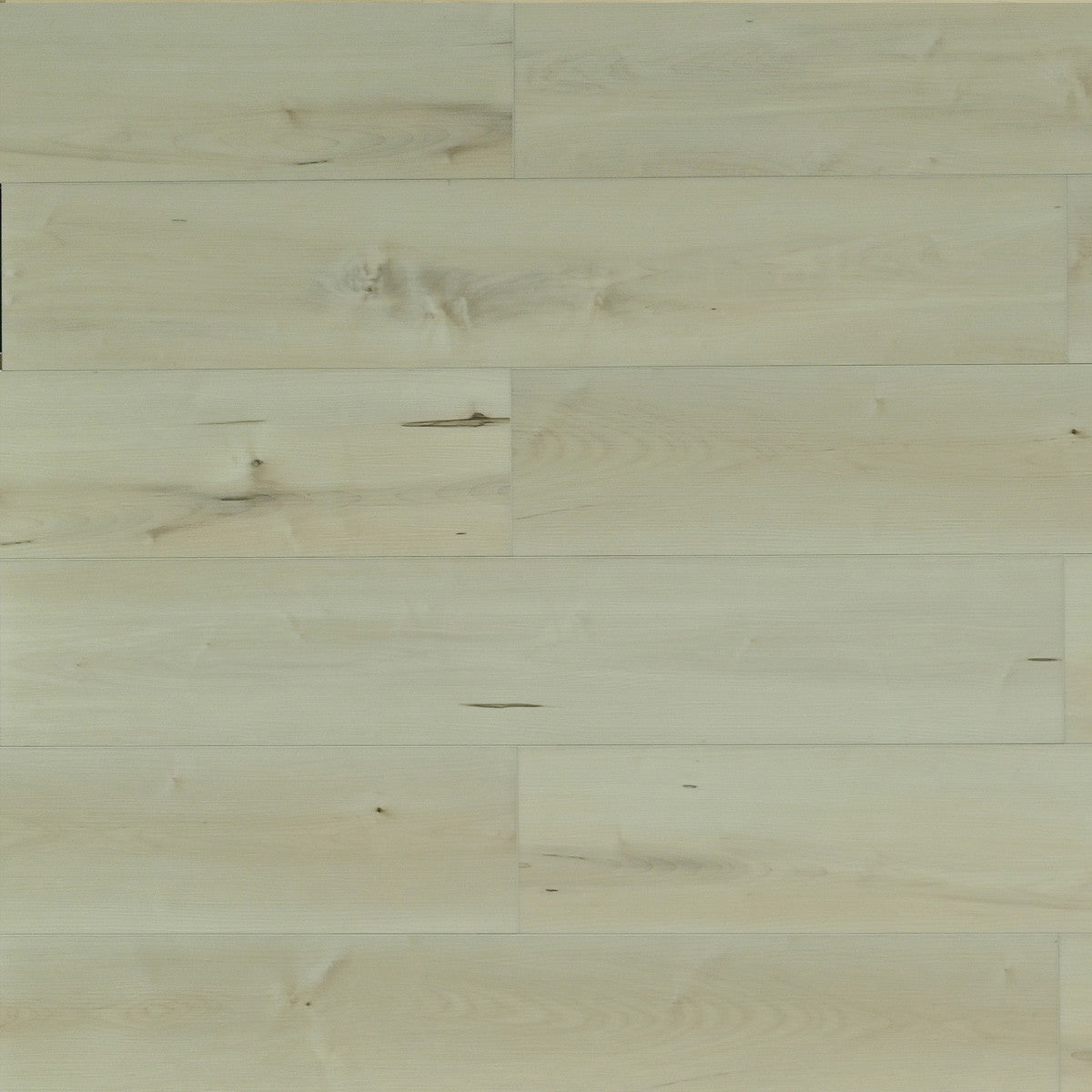 TOU Belgrade 6.5+1.5 mm