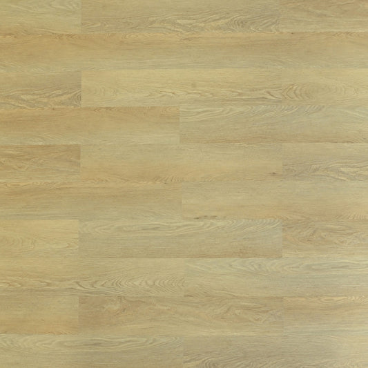 TOU Kennebunkport 6+2 mm