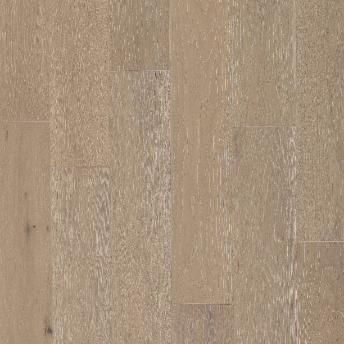 BYK European Oak - Windward Trail