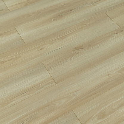 TOU Edgewood 12mm water resistant Laminate